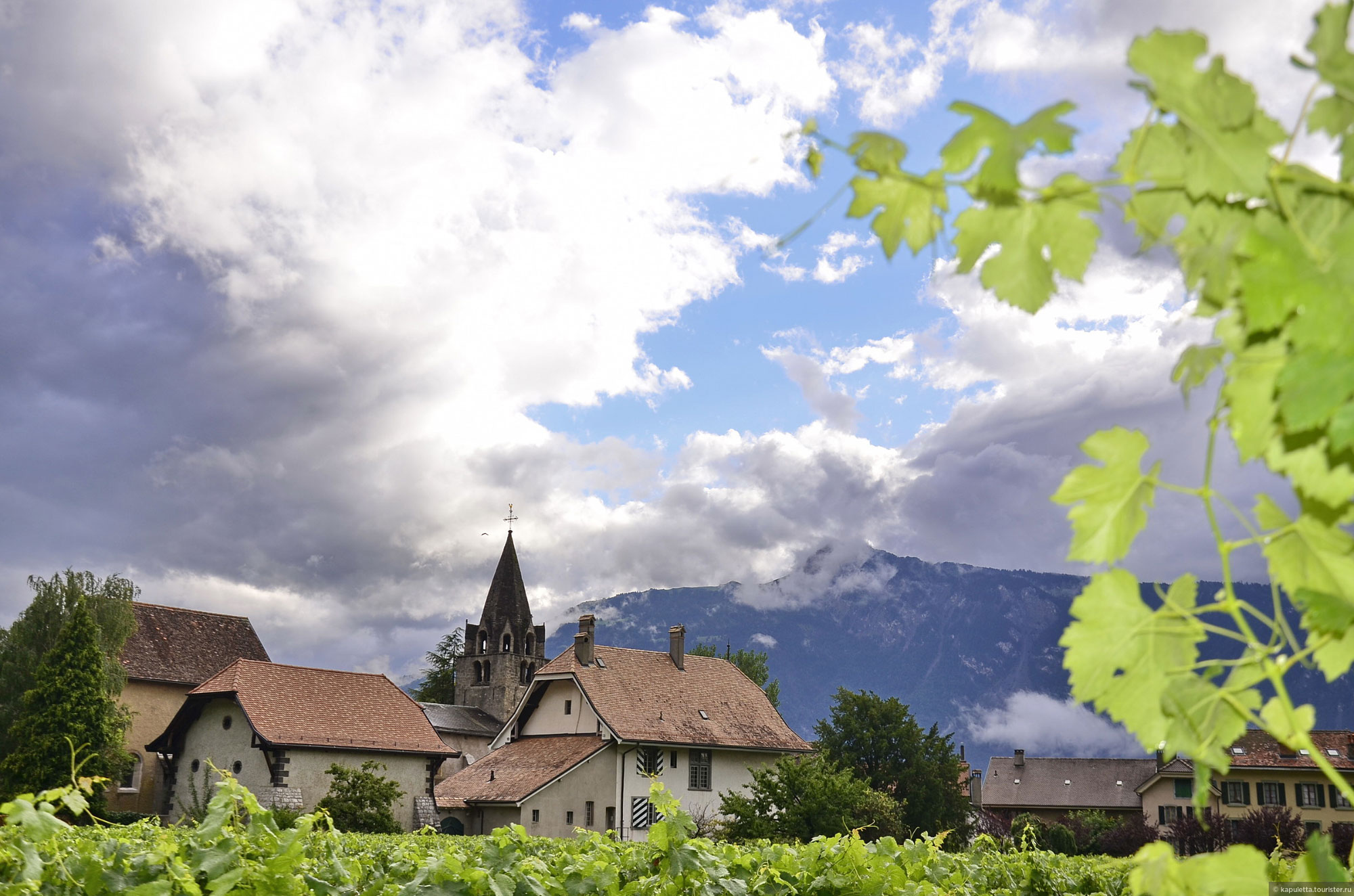 Aigle